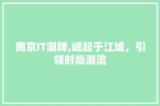 南京IT潮牌,崛起于江城，引领时尚潮流