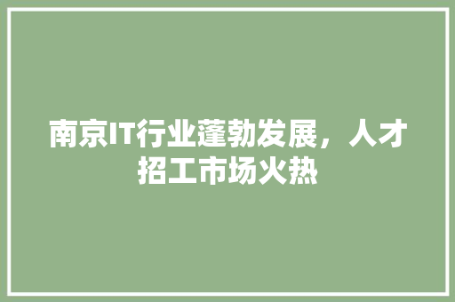 南京IT行业蓬勃发展，人才招工市场火热