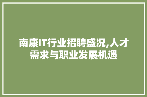 南康IT行业招聘盛况,人才需求与职业发展机遇