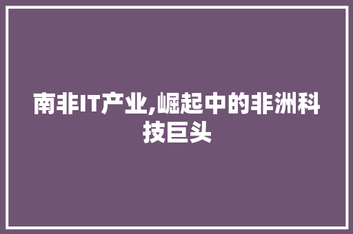 南非IT产业,崛起中的非洲科技巨头