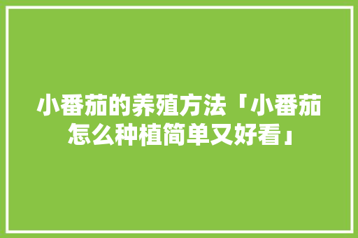 小番茄的养殖方法「小番茄怎么种植简单又好看」 小番茄的养殖方法「小番茄怎么种植简单又好看」 番茄病虫害防治