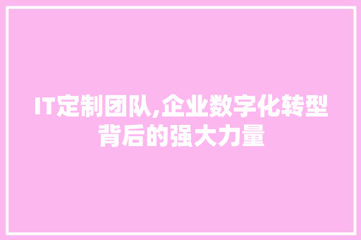 IT定制团队,企业数字化转型背后的强大力量