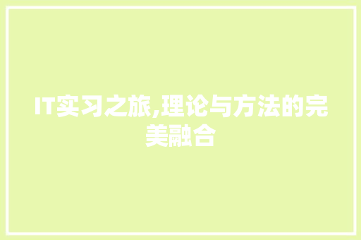 IT实习之旅,理论与方法的完美融合