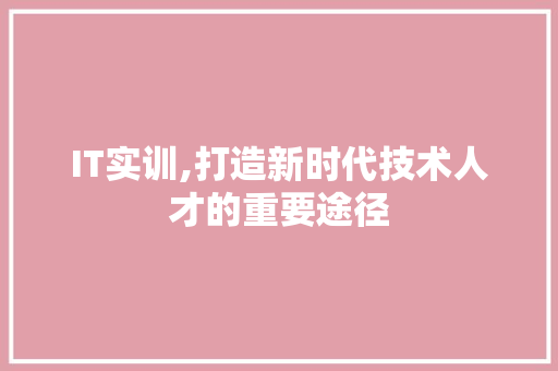 IT实训,打造新时代技术人才的重要途径