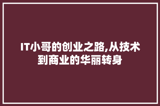 IT小哥的创业之路,从技术到商业的华丽转身
