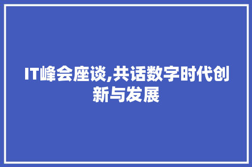 IT峰会座谈,共话数字时代创新与发展