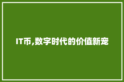 IT币,数字时代的价值新宠