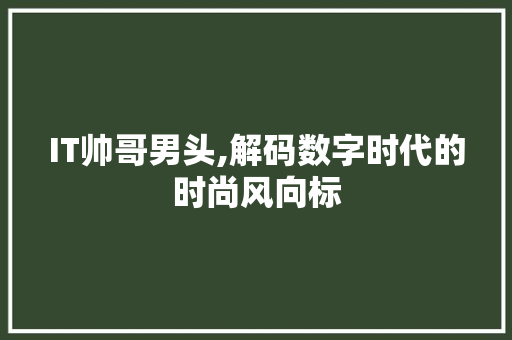 IT帅哥男头,解码数字时代的时尚风向标