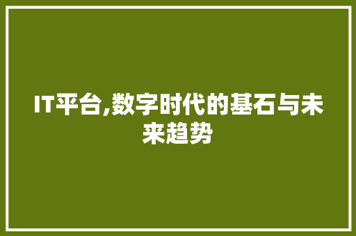 IT平台,数字时代的基石与未来趋势
