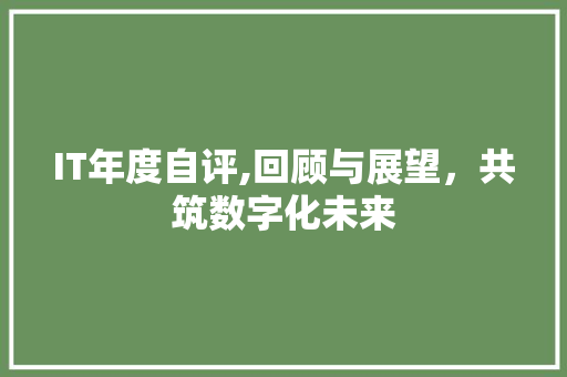 IT年度自评,回顾与展望，共筑数字化未来