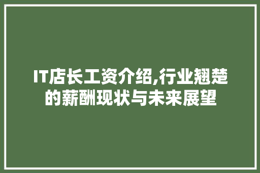 IT店长工资介绍,行业翘楚的薪酬现状与未来展望