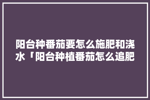 阳台种番茄要怎么施肥和浇水「阳台种植番茄怎么追肥快呢」 阳台种番茄要怎么施肥和浇水「阳台种植番茄怎么追肥快呢」 农业常识