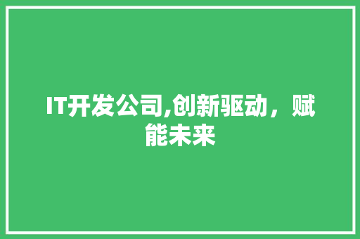 IT开发公司,创新驱动，赋能未来
