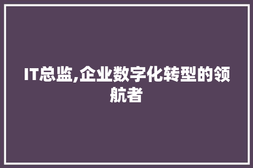 IT总监,企业数字化转型的领航者