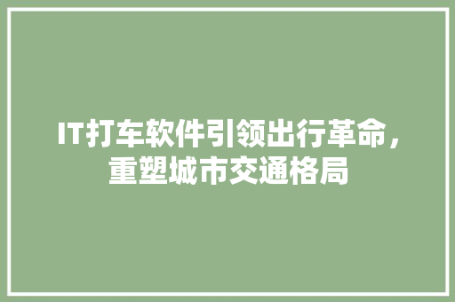 IT打车软件引领出行革命，重塑城市交通格局