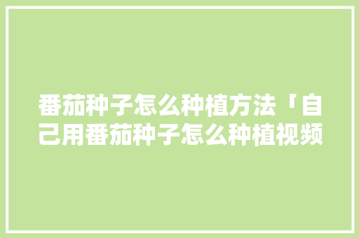 番茄种子怎么种植方法「自己用番茄种子怎么种植视频」 番茄种子怎么种植方法「自己用番茄种子怎么种植视频」 土壤施肥