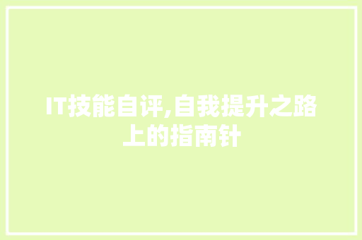 IT技能自评,自我提升之路上的指南针