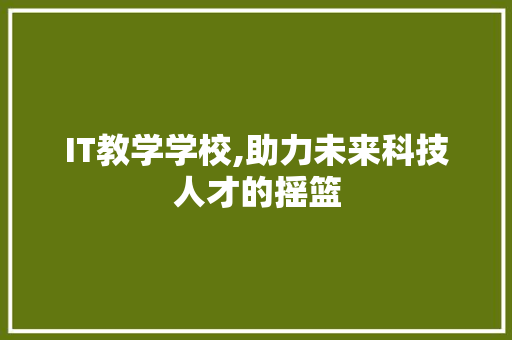 IT教学学校,助力未来科技人才的摇篮