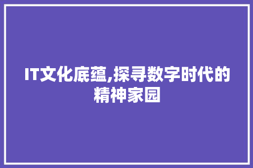 IT文化底蕴,探寻数字时代的精神家园