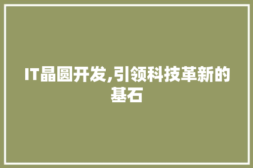 IT晶圆开发,引领科技革新的基石