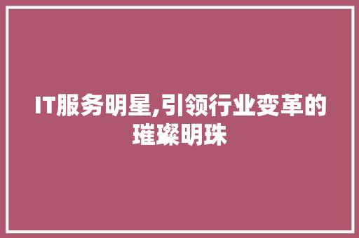 IT服务明星,引领行业变革的璀璨明珠