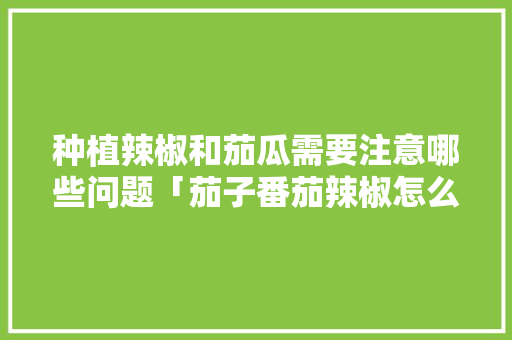 种植辣椒和茄瓜需要注意哪些问题「茄子番茄辣椒怎么种植的视频」 种植辣椒和茄瓜需要注意哪些问题「茄子番茄辣椒怎么种植的视频」 番茄种植技巧