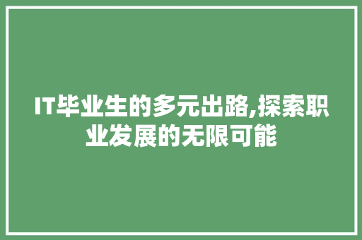 IT毕业生的多元出路,探索职业发展的无限可能