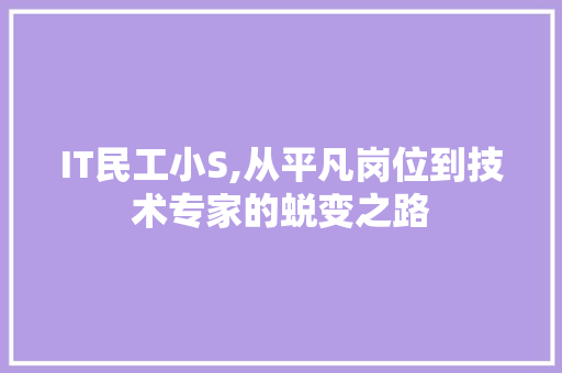 IT民工小S,从平凡岗位到技术专家的蜕变之路