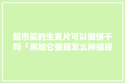 超市买的生麦片可以做饼干吗「黑加仑番茄怎么种植视频教程」 超市买的生麦片可以做饼干吗「黑加仑番茄怎么种植视频教程」 花朵知识