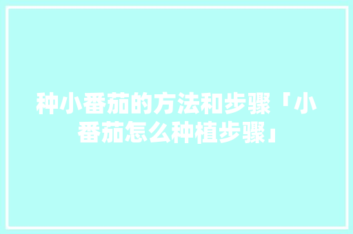 种小番茄的方法和步骤「小番茄怎么种植步骤」 种小番茄的方法和步骤「小番茄怎么种植步骤」 植物种类