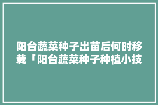 阳台蔬菜种子出苗后何时移栽「阳台蔬菜种子种植小技巧视频」 农业常识 阳台蔬菜种子出苗后何时移栽「阳台蔬菜种子种植小技巧视频」 阳台蔬菜种子出苗后何时移栽「阳台蔬菜种子种植小技巧视频」 农业常识