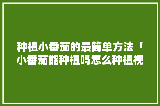 种植小番茄的最简单方法「小番茄能种植吗怎么种植视频」 种植小番茄的最简单方法「小番茄能种植吗怎么种植视频」 番茄病虫害防治