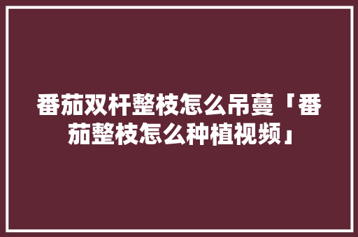 番茄双杆整枝怎么吊蔓「番茄整枝怎么种植视频」 番茄双杆整枝怎么吊蔓「番茄整枝怎么种植视频」 种植技巧