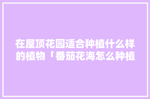 在屋顶花园适合种植什么样的植物「番茄花海怎么种植的视频」 在屋顶花园适合种植什么样的植物「番茄花海怎么种植的视频」 植物种类
