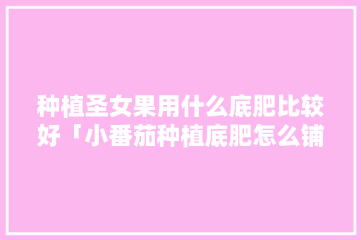 种植圣女果用什么底肥比较好「小番茄种植底肥怎么铺地膜」 番茄种植技巧 种植圣女果用什么底肥比较好「小番茄种植底肥怎么铺地膜」 种植圣女果用什么底肥比较好「小番茄种植底肥怎么铺地膜」 番茄种植技巧