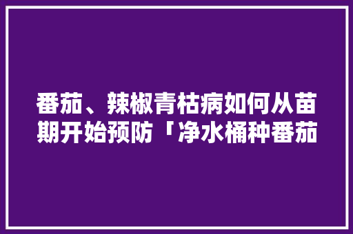 番茄、辣椒青枯病如何从苗期开始预防「净水桶种番茄怎么种植的」 番茄、辣椒青枯病如何从苗期开始预防「净水桶种番茄怎么种植的」 种植技巧
