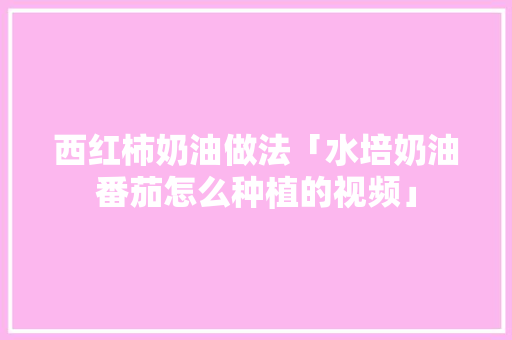 西红柿奶油做法「水培奶油番茄怎么种植的视频」 西红柿奶油做法「水培奶油番茄怎么种植的视频」 土壤施肥