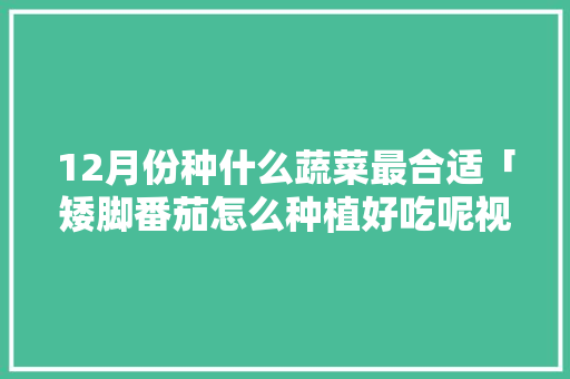 12月份种什么蔬菜最合适「矮脚番茄怎么种植好吃呢视频」 12月份种什么蔬菜最合适「矮脚番茄怎么种植好吃呢视频」 番茄种植技巧