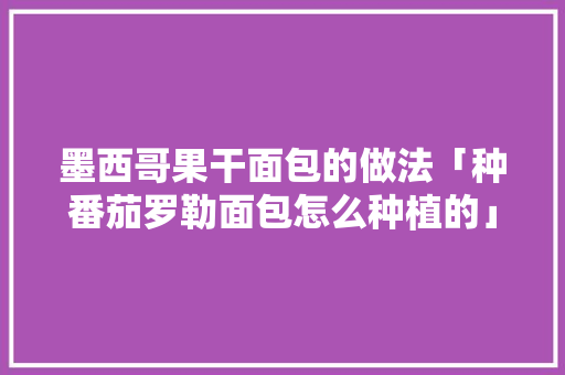墨西哥果干面包的做法「种番茄罗勒面包怎么种植的」 墨西哥果干面包的做法「种番茄罗勒面包怎么种植的」 土壤施肥