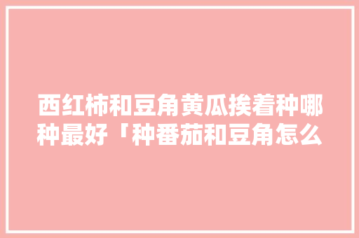 西红柿和豆角黄瓜挨着种哪种最好「种番茄和豆角怎么种植视频」 西红柿和豆角黄瓜挨着种哪种最好「种番茄和豆角怎么种植视频」 番茄病虫害防治