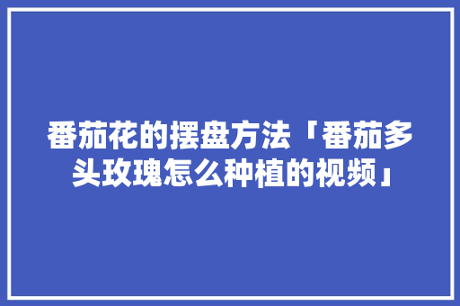 番茄花的摆盘方法「番茄多头玫瑰怎么种植的视频」 番茄花的摆盘方法「番茄多头玫瑰怎么种植的视频」 番茄种植技巧