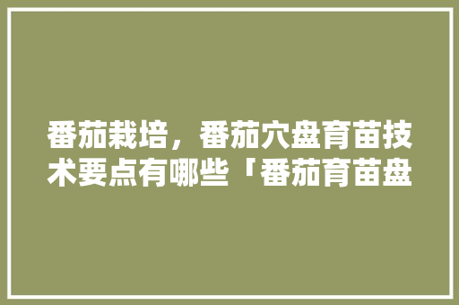 番茄栽培，番茄穴盘育苗技术要点有哪些「番茄育苗盘育苗方法」 番茄栽培，番茄穴盘育苗技术要点有哪些「番茄育苗盘育苗方法」 番茄种植技巧