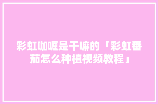 彩虹咖喱是干嘛的「彩虹番茄怎么种植视频教程」