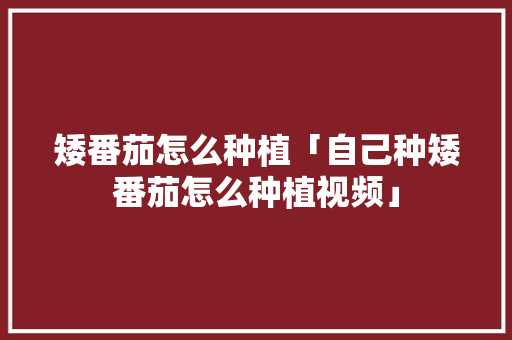 矮番茄怎么种植「自己种矮番茄怎么种植视频」 矮番茄怎么种植「自己种矮番茄怎么种植视频」 番茄病虫害防治