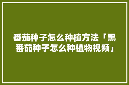 番茄种子怎么种植方法「黑番茄种子怎么种植物视频」 番茄种子怎么种植方法「黑番茄种子怎么种植物视频」 植物种类