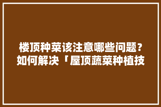 楼顶种菜该注意哪些问题？如何解决「屋顶蔬菜种植技巧视频」 楼顶种菜该注意哪些问题？如何解决「屋顶蔬菜种植技巧视频」 番茄种植技巧
