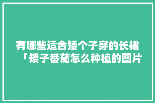 有哪些适合矮个子穿的长裙「矮子番茄怎么种植的图片大全」 有哪些适合矮个子穿的长裙「矮子番茄怎么种植的图片大全」 番茄种植技巧