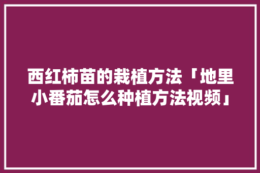 西红柿苗的栽植方法「地里小番茄怎么种植方法视频」 西红柿苗的栽植方法「地里小番茄怎么种植方法视频」 植物种类