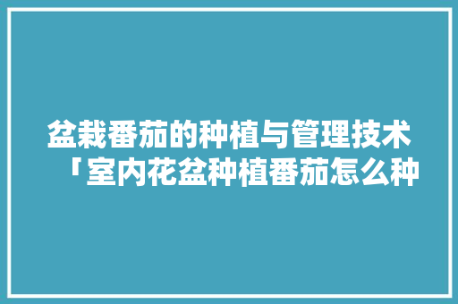 盆栽番茄的种植与管理技术「室内花盆种植番茄怎么种植」 盆栽番茄的种植与管理技术「室内花盆种植番茄怎么种植」 农业常识