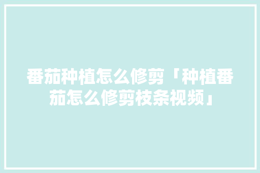 番茄种植怎么修剪「种植番茄怎么修剪枝条视频」 番茄种植怎么修剪「种植番茄怎么修剪枝条视频」 番茄病虫害防治